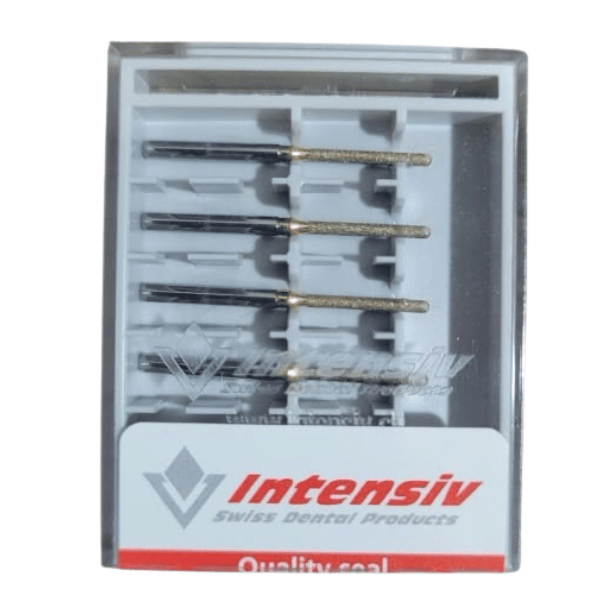 Intensiv FG 305L/6 GB